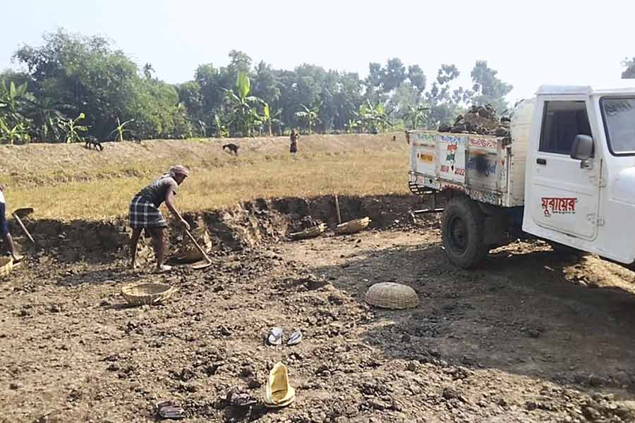 বেআইনি: চাষের জমি থেকে মাটি কাটা হচ্ছে। নিজস্ব চিত্র