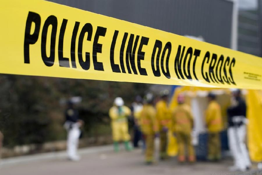 নিহত ওই ব্যবসায়ীর নাম ব্যারি শেরম্যান। ওষুধের সংস্থা অ্যাপোটেক্সের প্রতিষ্ঠাতা ব্যারি এবং তাঁর স্ত্রী হানিকে রহস্যজনক ভাবে মৃত অবস্থায় পাওয়া যায় তাঁর বাড়িতেই। তাঁকে উদ্ধার করেন তাঁরই বাড়িতে অতিথি হয়ে আসা এক জমি-বাড়ির দালাল।