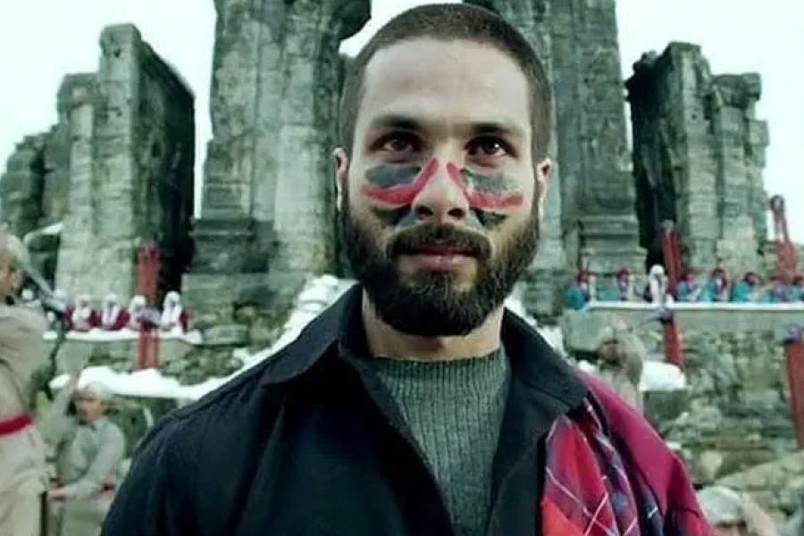 টুইটারে ‘বয়কট হায়দর’ হ্যাশট্যাগ ক্রমেই জনপ্রিয় হয়ে ওঠে। সমাজমাধ্যম ব্যবহারকারীরা দাবি করেন, ছবিতে বিচ্ছিন্নতাবাদীদের প্রতি সমবেদনা জানানো হয়েছে। কিন্তু কাশ্মীরি পণ্ডিতদের লড়াই, ভোগান্তি নিয়ে কিছু দেখানো হয়নি। হিন্দু মন্দিরকে ‘শয়তানের ঘর’ বলে দেখানো হয়েছে বলেও অভিযোগ ওঠে।