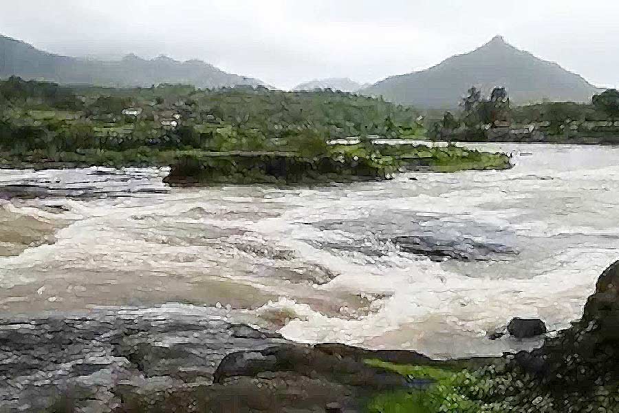 মুম্বইয়ের ধামানি গ্রামের পাশ দিয়ে বয়ে চলেছে গাদি নদী। হঠাৎ এক দিন নদীর তীরে ভেসে উঠল এক মহিলার মৃতদেহ। ঘটনাস্থলে পুলিশ পৌঁছলে পানভেল থানার পুলিশ এই খুনের তদন্ত শুরু করে। কিন্তু প্রাথমিক তদন্ত চলাকালীন সমস্যার মুখে পড়ে তারা। দুর্ঘটনাস্থলে কোনও সিসিটিভি ফুটেজ না পাওয়ায় হাতে তথ্যপ্রমাণ পাচ্ছিল না পুলিশ। 
