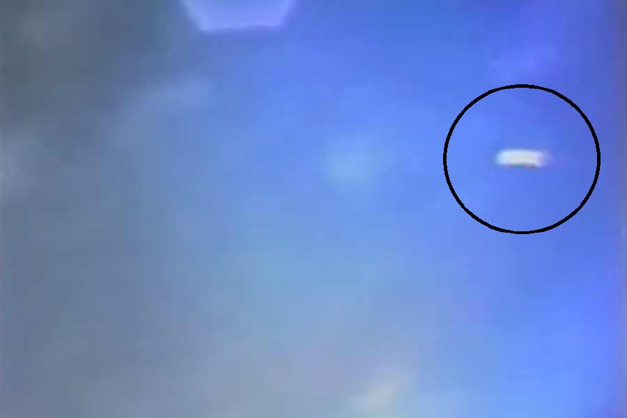 ১৯৯৫ সালে একটি সাক্ষাৎকার দিয়েছিলেন মাসগ্রেভ। তাতে তিনি দাবি করেন যে, মহাকাশে তিনি সাপের মতো দেখতে বিশাল এক প্রাণী দেখতে পেয়েছিলেন।