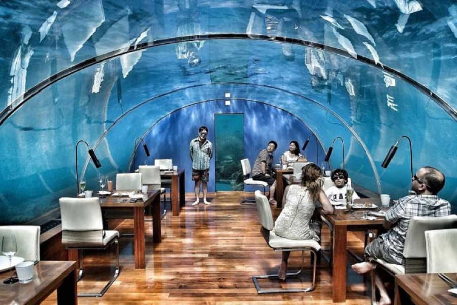  সমুদ্রের নীচে বসে পছন্দের খাবার মুখে তুলছেন। তার পাশে ভেসে বেড়াচ্ছে হাঙর-সহ নানা সামুদ্রিক প্রাণী। ভাবছেন নিশ্চয়ই, এ হয়তো কোনও রূপকথার গল্প! না, এমন অভিজ্ঞতা আপনিও অর্জন করতে পারেন। সে জন্য যেতে হবে মলদ্বীপে। সেখানে রয়েছে সমুদ্রের নীচে রেস্তরাঁ।