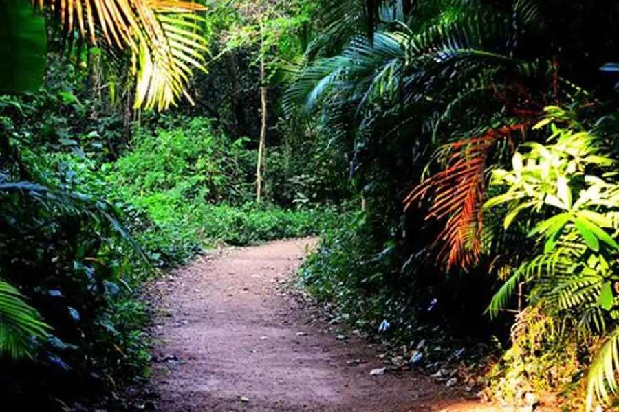 চিন্তামণি কর পাখিরালয়। 