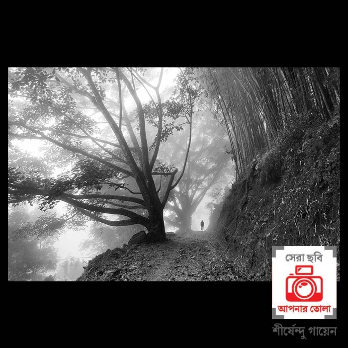 ছবি: শীর্ষেন্দু  গায়েন।