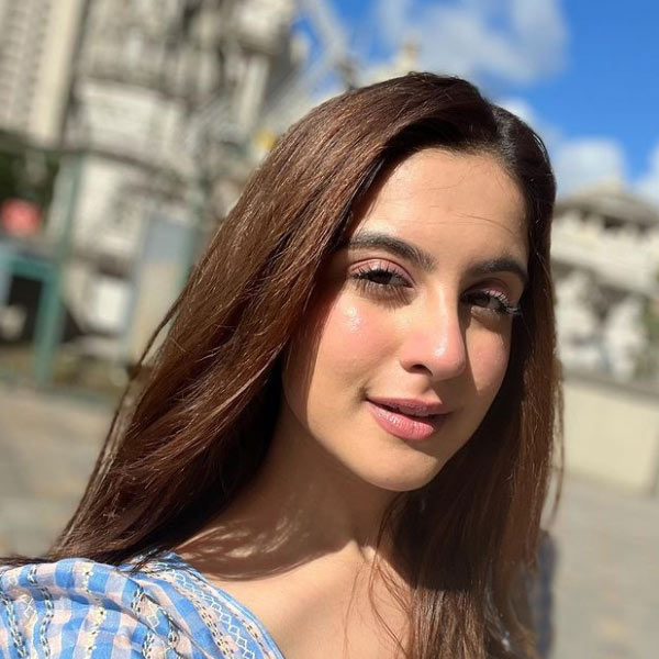 এর পর থেকে একাধিক হিন্দি ধারাবাহিকে কাজ করতে দেখা গিয়েছে তুনিশাকে। টেলি দুনিয়ায় তাঁর কাজ যথেষ্ট প্রশংসা পায়। সম্প্রতি ‘আলিবাবা: দাস্তান-ই-কাবুল’ ধারাবাহিকে কেন্দ্রীয় চরিত্রে দেখা গিয়েছে তাঁকে।