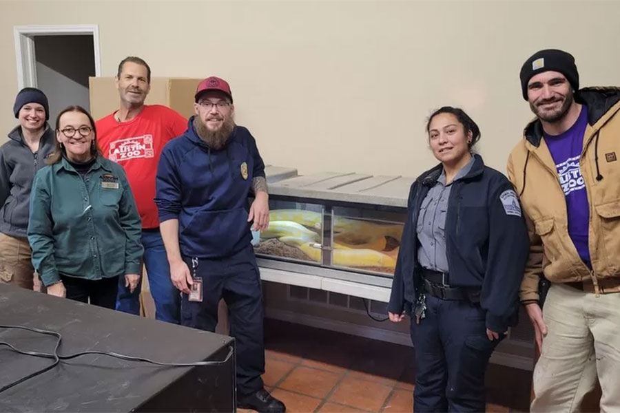 সম্প্রতি অস্টিন অ্যানিমাল সেন্টারের একটি ফেসবুক পোস্ট ভাইরাল হয়েছে নেটদুনিয়ায়। তারা জানায়, প্রায় পাঁচ মাস পর মালিকের কাছে ফিরে যাচ্ছে তাঁর পোষ্য ময়াল। তারা জানায়, উত্তর-পূর্ব টেক্সাসের ডালাসের এক বাসিন্দা ওই অতিকায় প্রাণীটিকে পোষেন। কিছু দিন আগে তিনি তাঁর পোষ্য চুরির অভিযোগ করেছিলেন।