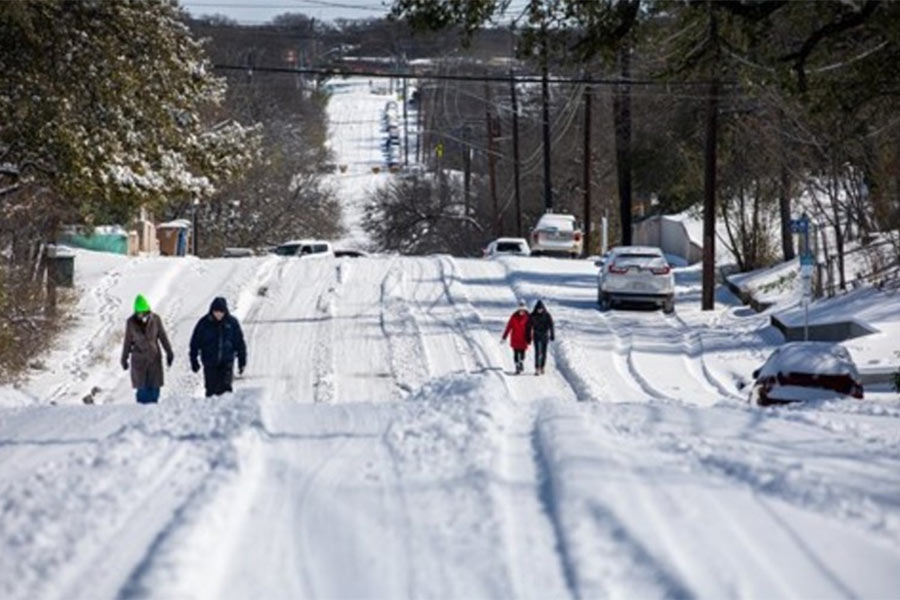 কিন্তু টেক্সাসের শীত বড় কাবু করে ফেলেছিল ‘স্নো’কে। এখন আর কোথাও বেড়ানোর মন নেই তার। কোনও শুকনো একটা জায়গায় টানা জিরোতে চায় সে। সেই আশ্রয়ের খোঁজে একটি গ্যারাজে ঢুকে পড়েছিল তার ১৬ ফুটের শরীর নিয়ে।