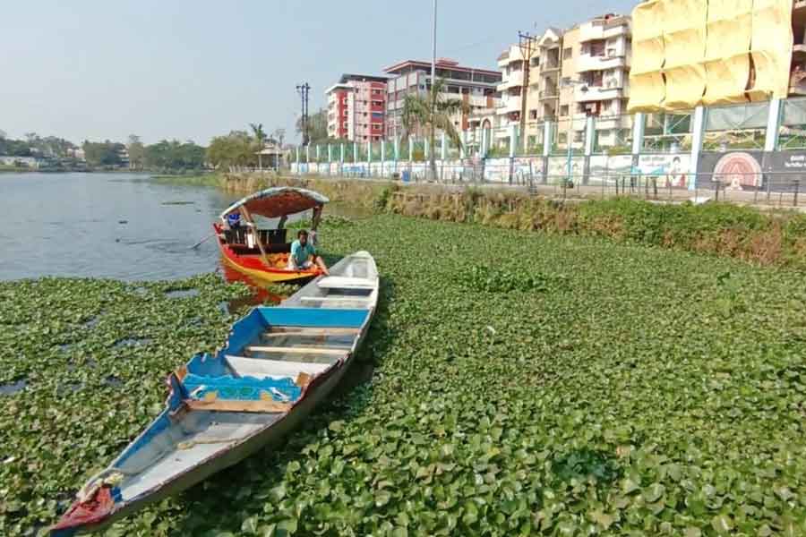 স্তব্ধ সাহেববাঁধে শিকারা সফর।