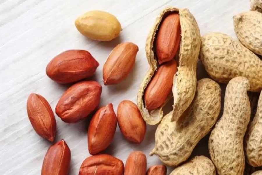 শরীর চনমনে রাখা থেকে রোগ প্রতিরোধ শক্তি বাড়ানো— সবেতেই বাদাম এগিয়ে। 