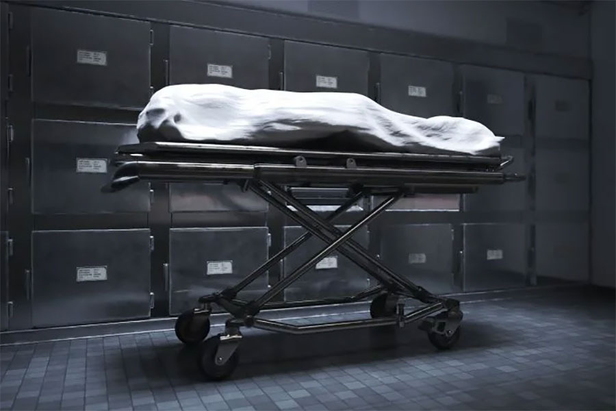 কী ভাবে মৃত্যু হল শীলার? তাঁকে কি খুন করা হয়েছিল? প্রৌঢ়ার দেহ এতটাই পচেগলে গিয়েছিল যে ময়নাতদন্তে সব প্রশ্নের উত্তর মেলেনি। যদিও ওই রিপোর্ট অনুযায়ী, বেশ অসুস্থ ছিলেন তিনি। পরিপাকতন্ত্রের কলা (টিস্যু) ফুলে গিয়েছিল। সঙ্গে অন্ত্রের প্রদাহও ছিল।