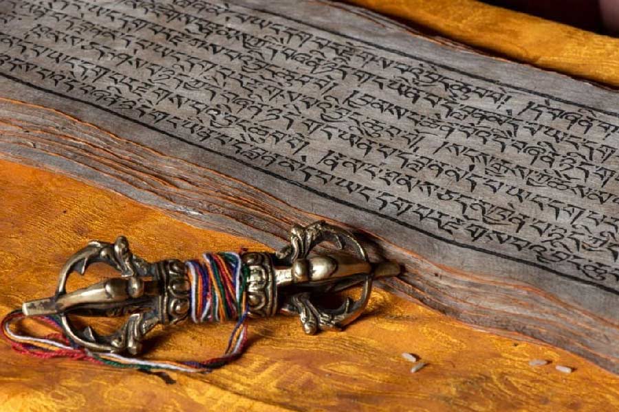 বিশেষজ্ঞরা জানিয়েছেন, সংস্কৃত ব্যাকরণের এই সমাধান ‘যুগান্তকারী’। এর ফলে কম্পিউটারকে পাণিনির ব্যাকরণ শেখানো আরও সহজ হবে। 