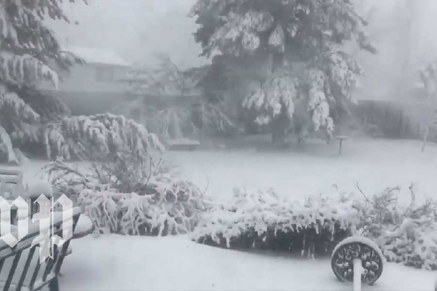 আমেরিকার মন্টানা স্টেটের পরিস্থিতিও ভয়াবহ। তীব্র তুষারঝড়ে সবচেয়ে ক্ষতিগ্রস্ত জায়গাগুলির মধ্যে এই অঞ্চল একটি। এখানকার তাপমাত্রা মাইনাস ৪৫ ডিগ্রি সেলসিয়াসে নেমে গিয়েছে।