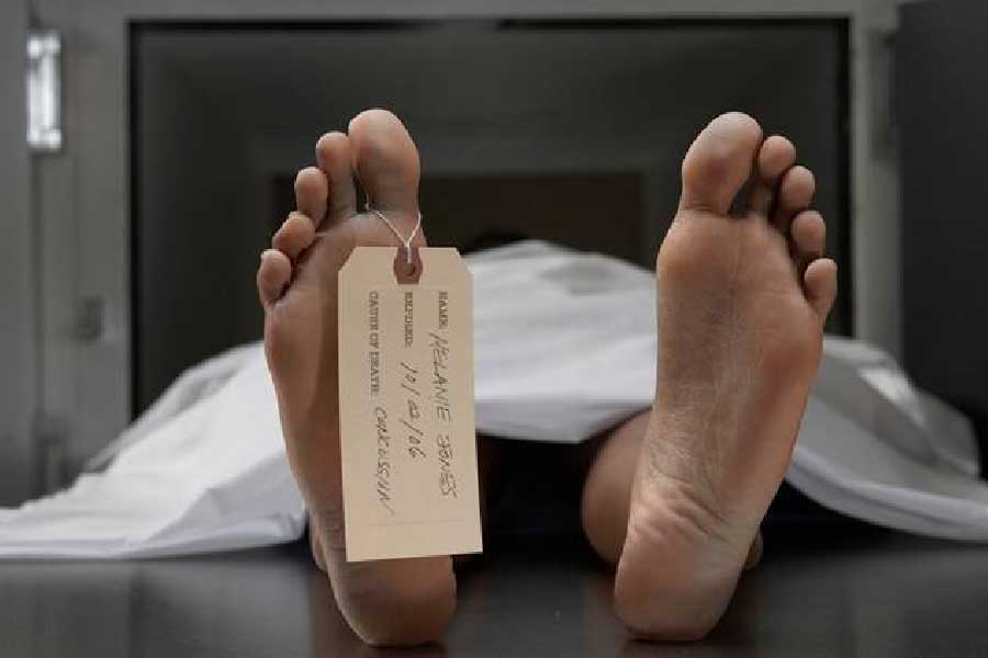 কেন বার বার পুতিনের সমালোচনাকারীদের বহুতল থেকে পড়ে মরতে হচ্ছে। এ কী নিছক কাকতালীয় ঘটনা, না কি প্রত্যেকটি মৃত্যুর মধ্যে কোনও যোগসূত্র রয়ে গিয়েছে? ওড়িশায় পাভেলের মৃত্যু তুলে দিয়েছে সেই প্রশ্ন।