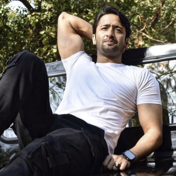 ‘মহাভারত’ ধারাবাহিকের ‘অর্জুন’ হোক বা ‘ঝাঁসি কি রানি’ ধারাবাহিকের ‘নানা সাহিব’-এর চরিত্র— শাহির নাওয়াজ শেখ হিন্দি টেলিভিশন জগতের নামকরা অভিনেতাদের মধ্যে এক জন।