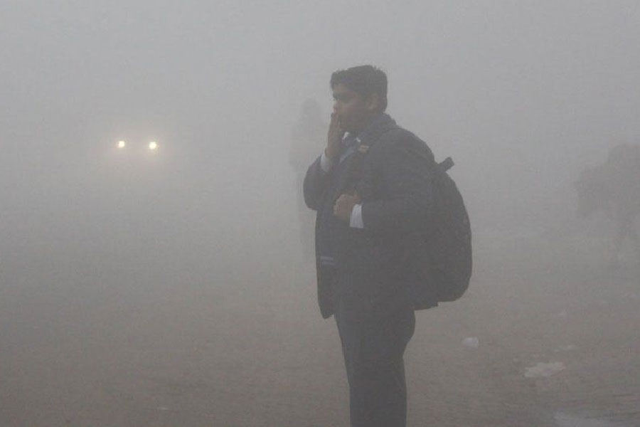 হরিয়ানার অনেক জায়গাতেই তাপমাত্রা প্রায় হিমাঙ্কের কাছাকাছি পৌঁছেছে। কোথাও তাপমাত্রা ১ ডিগ্রিতে নেমে গিয়েছে, কোথাও আবার ৪ ডিগ্রিতে ঘোরাফেরা করছে। সোমবার হিসারে সর্বনিম্ন তাপমাত্রা ছিল ১.২ ডিগ্রি সেলসিয়াস। মহেন্দ্রগড়ে তাপমাত্রা ছিল ১.৭ ডিগ্রি সেলসিয়াস। ফতেহবাদে ৪.২, কারনালে ৬.৮ ডিগ্রি সেলসিয়াস। তার সঙ্গে পাল্লা দিয়ে বাড়ছে কুয়াশাও।