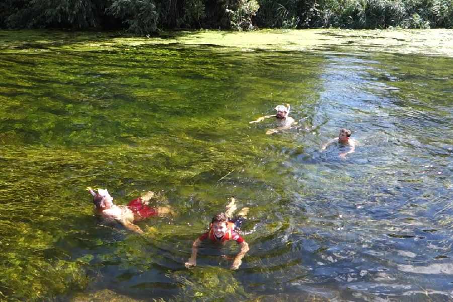 সাঁতার কাটার সময় বা জলে নামলে জল নাকে-মুখে-কানে ঢোকে। জলে এই অ্যামিবা থাকলে সেই সময়েই জলবাহিত হয়ে নাক দিয়ে প্রবেশ করতে পারে শরীরের ভিতরে। সাধারণত নদী, পুকুর বা হ্রদে ডুব সাঁতার দিলে এমন হতে পারে। 