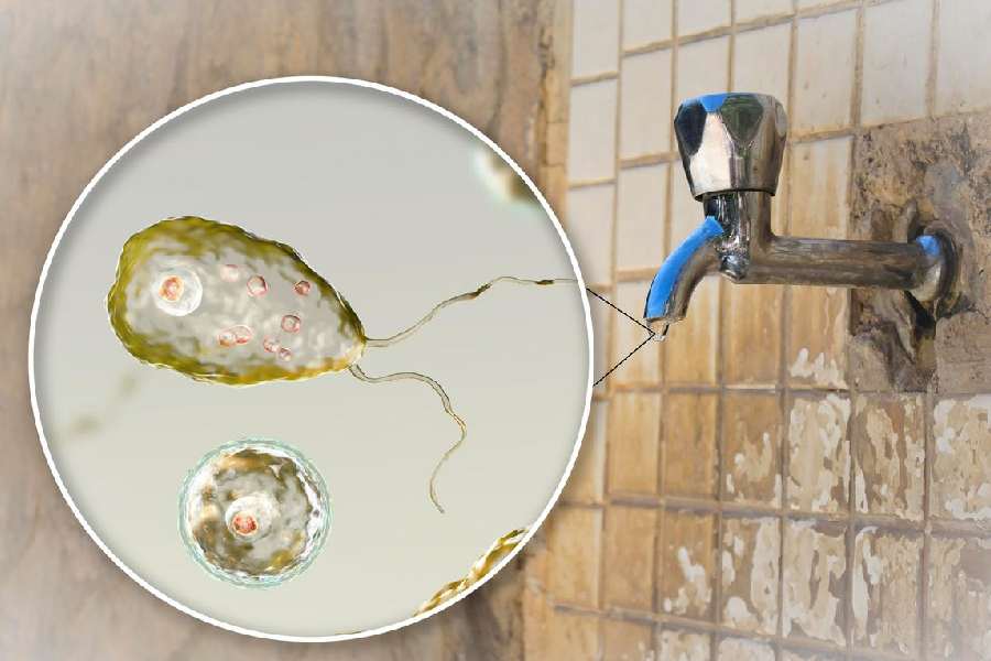 তবে শুধু জলে নামলেই এই সংক্রমণ হবে, এমন নয়। অ্যামিবা রয়েছে এমন কলের জলে নাক পরিষ্কার করা হয় কিংবা নাক দিয়ে সেই জল টানা হয়, তা হলেও সেই জলবাহিত হয়ে এই অ্যামিবার শরীরে প্রবেশের আশঙ্কা থাকে। 