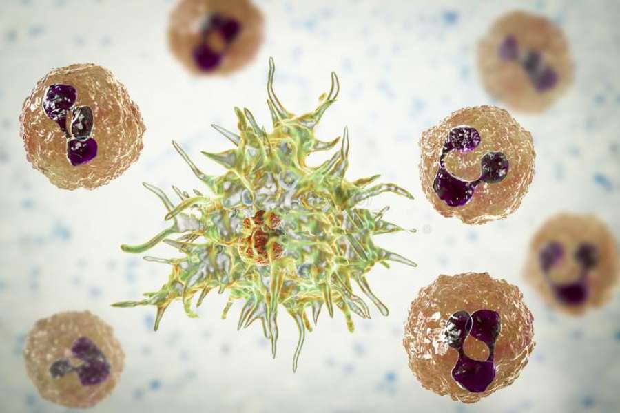 প্যাম সংক্রমণের প্রথম উপসর্গ সাধারণত দেখা যায় সংক্রমণ ছড়ানোর ৫ দিন পরে। তবে এ ব্যাপারে নির্দিষ্ট কোনও নিয়ম নেই। সংক্রমণ ছড়ানোর ১ থেকে বারো দিনের মধ্যে যে কোনও সময়েই উপসর্গ দেখা দিতে পারে। 