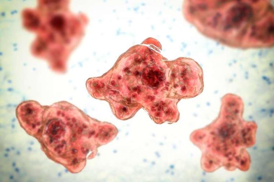 উপসর্গ দেখা দেওয়ার পর সংক্রমণ দ্রুত ছড়াতে থাকে এবং সাধারণত ৫ দিনের মধ্যে মৃত্যু হয় রোগীর। তবে এ ব্যাপারেও বাঁধাধরা নিয়ম নেই কোনও। সংক্রমণ ছড়ানোর ১ থেকে ১৮ দিনের মধ্যে যে কোনও সময়েই মৃত্যু হতে পারে রোগীর। 