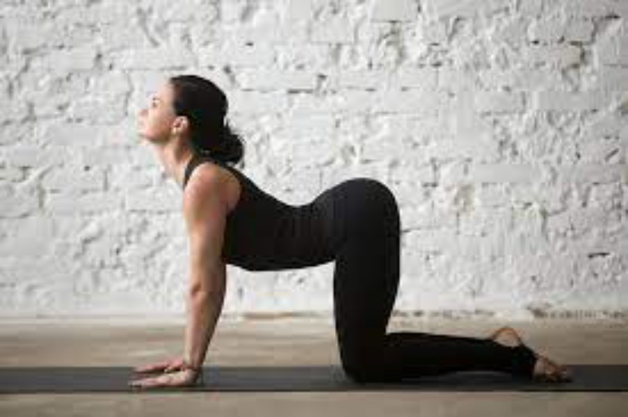 বিড়াল-গরুর মতো ভঙ্গি