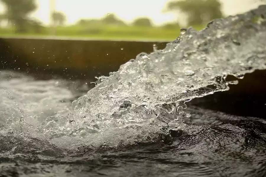 গ্রামের অনেকে অসুস্থ হয়ে পড়ায় চিকিৎসকের কথা শুনে পানীয় জলের ট্যাঙ্কটি পরীক্ষা করতে গিয়েছিলেন গ্রামেরই কয়েকজন। তবে ট্যাঙ্কে উঠে যা দেখেন, তাতে চমকে যান তাঁরা। 