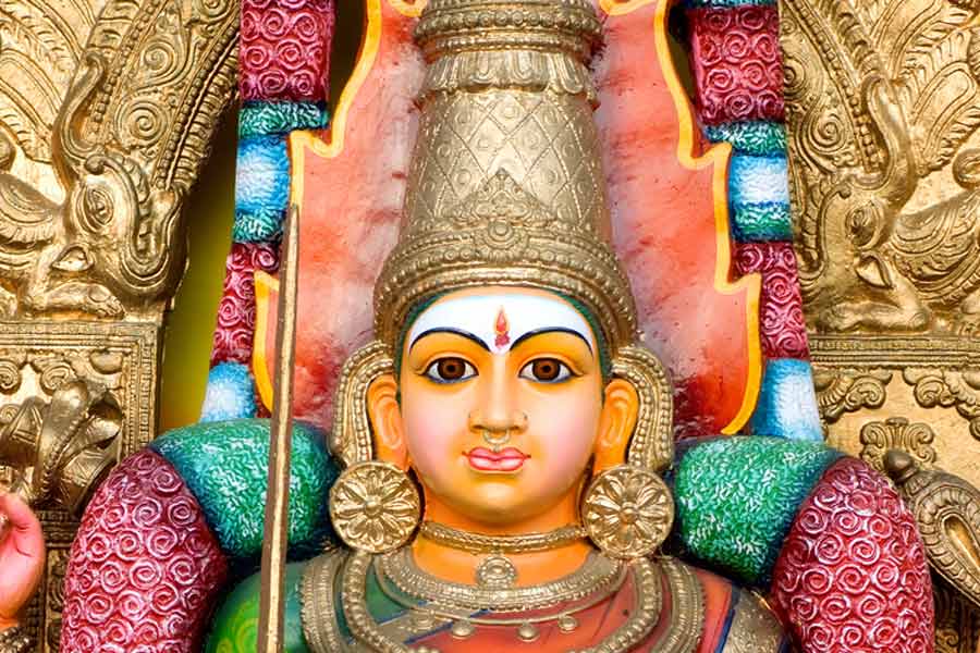 ওই গোষ্ঠীরই এক সদস্য ২২ বছরের সিন্ধুজা বিজ্ঞান বিভাগের স্নাতকের ছাত্রী। তিনি বলেছেন, ‘‘এই প্রথম মন্দিরে ঈশ্বরের মূর্তিটি কেমন দেখতে তা জানতে পারলাম। আশা করি এই সুবিধা আর আমাদের থেকে কেউ ছিনিয়ে নিতে পারবে না।’’