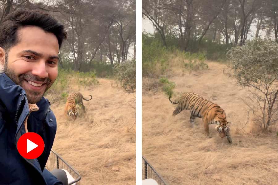 উষ্ণতার পারদ জঙ্গলের মধ্যে বেশ কম, তবে ভিডিয়ো দেখে বেড়ে গেল এক লহমায়।