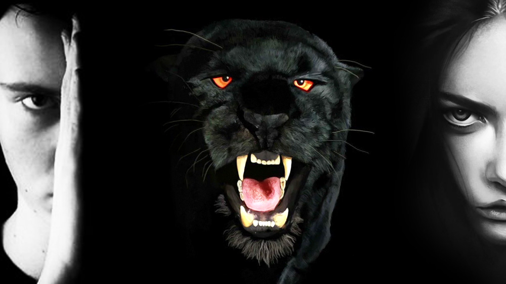 ‘প্রেমে ধোঁকা খেয়ে ছলছল চোখে কাত না হয়ে বরং বদলা নিন।’ প্রেম দিবসের দিন পনেরো আগে এমন প্রস্তাব নিয়ে এল একটি বিজ্ঞাপন!