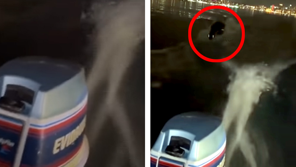 ভাটার মতো জ্বলছে একজোড়া চোখ, সমুদ্রে মৎস্যজীবীর স্পিডবোটকে তাড়া রহস্যময় প্রাণীর!