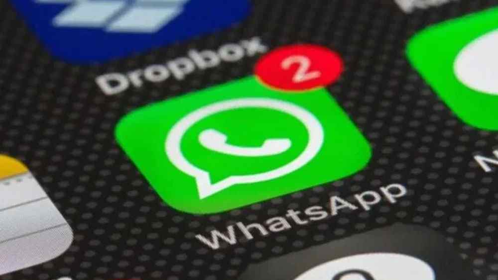 মেটা-র হোয়াটস্‌অ্যাপ অ্যাপটি এত বছর ধরে বাজারে রাজত্ব করা সত্ত্বেও এই অ্যাপের মাধ্যমে রোজগারের ক্ষেত্র খুব সীমিত। তাই কোনও একটি অ্যাপ সমস্যার মুখোমুখি হলে হোয়াটস্‌অ্যাপ সেই অ্যাপ-কে আর্থিক সহায়তা দিতে পারছে না। এটাকেও মেটার হঠাত্ পতনের একটি অন্যতম কারণ বলে মনে করা হচ্ছে।