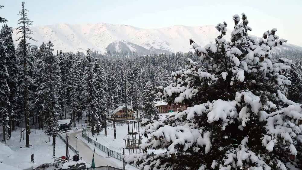 অতিমারির কারণে ধুঁকতে থাকা রেস্তরাঁ বাঁচাতেই ইগলু ক্যাফে তৈরি কথা তাঁর মাথায় আসে বলে জানান ওয়াসিম।