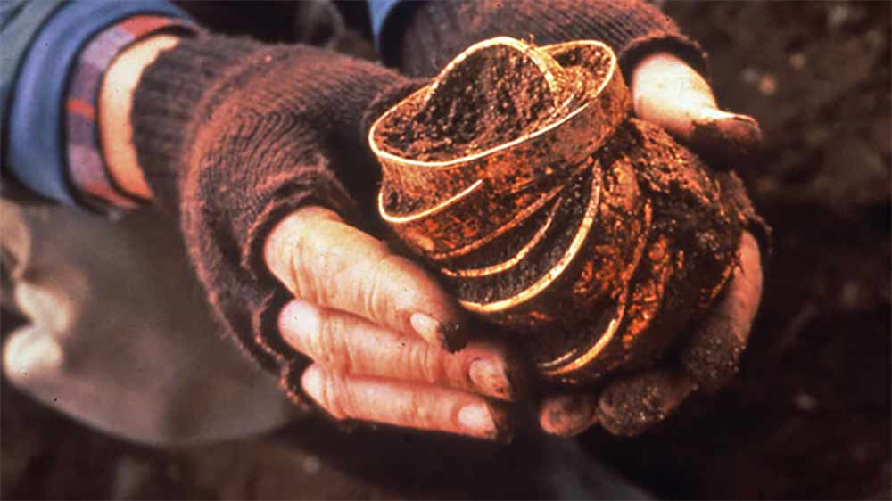 সংবাদমাধ্যমে সে সময় জুডিথ জানিয়েছিলেন, সম্পদের আর্থিক মূল্য যাচাই করা হচ্ছে। তবে প্রাথমিক ভাবে মনে হচ্ছে, এর বাজারদর হয়তো দেড় কোটি পাউন্ড। যদিও ঐতিহাসিক ভাবে এটি অমূল্য সম্পদ!