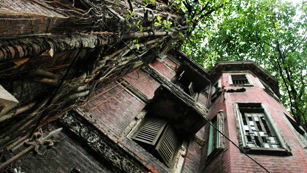 ‘ক্রিক’ কথার অর্থ খাঁড়ি। এখন খাঁড়ি শুনলেই আমাদের মনে হয় সুন্দরবনের কথা। কিন্তু খাস কলকাতার বুকে আজ থেকে প্রায় ৩০০ বছর আগে সক্রিয় ছিল এক খাঁড়ি। তার জন্ম হয়েছিল গাঙ্গেয় বদ্বীপের অংশ হিসেবেই। চাঁদপাল ঘাট থেকে তার গতিপথ ছিল বিদ্যাধরী নদী। মাঝে সে ছুঁয়ে যেত যে জনপদগুলি, তাদের বর্তমান নাম হেস্টিংস স্ট্রিট (আজকের কিরণশঙ্কর রায় রোড), ওয়াটারলু স্ট্রিট, বেন্টিঙ্ক স্ট্রিট এবং প্রিন্সেপ স্ট্রিট। এরপর ধর্মতলার উত্তর দিক হয়ে সে ঢুকে পড়ত আজকের সল্টলেকে। তার পরের গন্তব্য বিদ্যাধরী নদী।