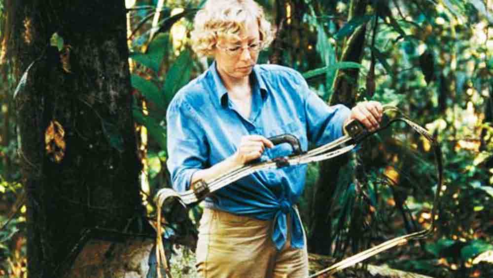 ২৪ ডিসেম্বর দুপুরের কিছু আগে আকাশে ওড়ে জুলিয়েনদের বিমান। লানসা ফ্লাইট নম্বর ৫০৮। তবে ওড়ার ২৫ মিনিট পরই আবার শুরু হয় গোলমাল।  