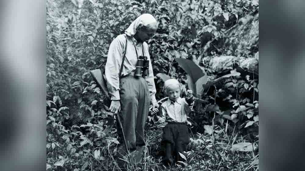 ছোট থেকেই জঙ্গলে বড় হয়েছেন। বাবা তাঁকে শিখিয়েছিলেন জঙ্গলে পথ হারালে কী ভাবে বাঁচার চেষ্টা করতে হবে। জুলিয়ন লিখেছেন, ‘বাবা বলেছিলেন, জঙ্গলে হারালে সবসময় নদীর খোঁজ করতে। নদীই রাস্তা দেখাবে। ছোটবেলার সেই শিক্ষা কাজে লাগে। জঙ্গলের আওয়াজ শুনে বুঝতে পারি আমি পাঙ্গুয়ানার জঙ্গলেই রয়েছি। একটা লাঠি নিয়ে রাস্তার খোঁজে বেরিয়ে পড়ি।’