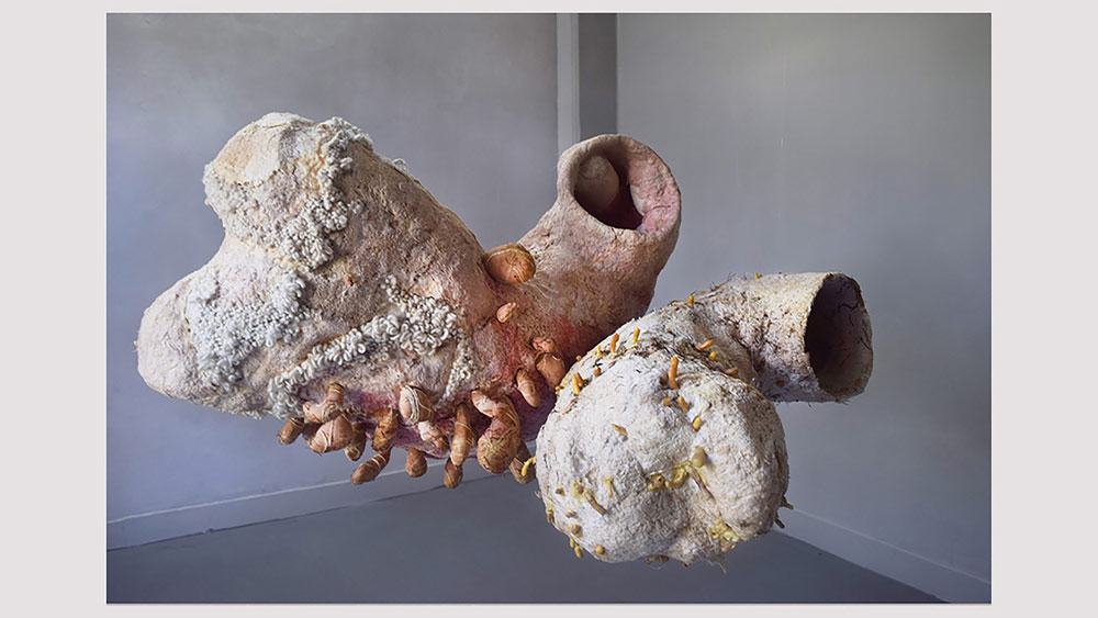 তুলো, কাপড়, ফাইবার, তার, মোমের মতো নানা সামগ্রীর ব্যবহারে নিজের শিল্প ভাবনা প্রকাশ করেছেন শিভি। 