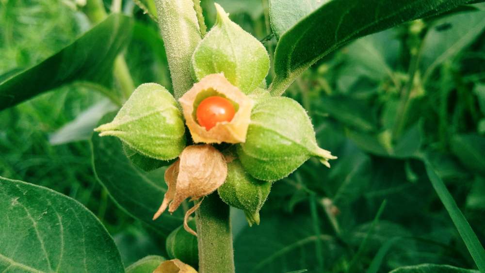 প্রতীকী ছবি