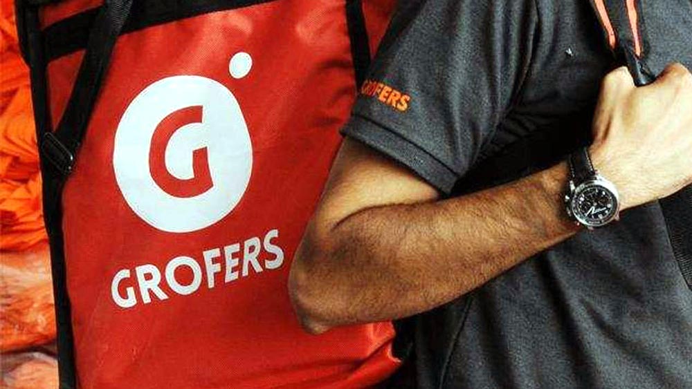 যদিও শুরুতে গ্রোফার্স নয়, ওয়াননাম্বার নামে একটি ডেলিভারি সংস্থা খুলেছিলেন অলবিন্দ্র এবং সৌরভ। সেটি ছিল ২০১৩ সাল। গোড়ার দিকে দোকানির থেকে জিনিসপত্র নিয়ে তা পাড়াপড়শিকে পৌঁছে দিত ওয়াননাম্বার। 