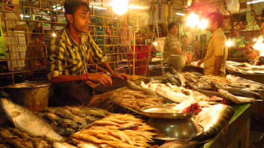 Know the whereabouts of popular fish markets of Kolkata dgtl - Anandabazar-  Anandabazar