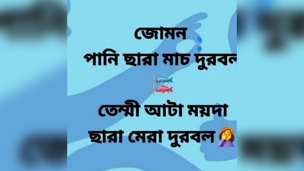 সরলার্থ: যেমন পানি ছাড়া মাছ দুর্বল, তেমনই আটা ময়দা ছাড়া মেয়েরা দুর্বল। (এর নিহিতার্থ বোঝা অবশ্য শিবের বাবারও অসাধ্য)