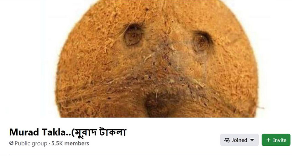 ‘মুরাদ টাকলা’ নামের গ্রুপগুলি মূলত চালান বাংলাদেশি নেটাগরিকরা। কেন চালান? এর উত্তর তাঁরা নিজেরাই রেখেছেন তাঁদের একটি ফেসবুক গ্রুপের পরিচিতিতে। সেখানে ‘অ্যাবাউট’ অংশে লেখা আছে— ‘ভাষা বিকৃতির বিরুদ্ধে যুদ্ধ চলুক অবিরাম’।
