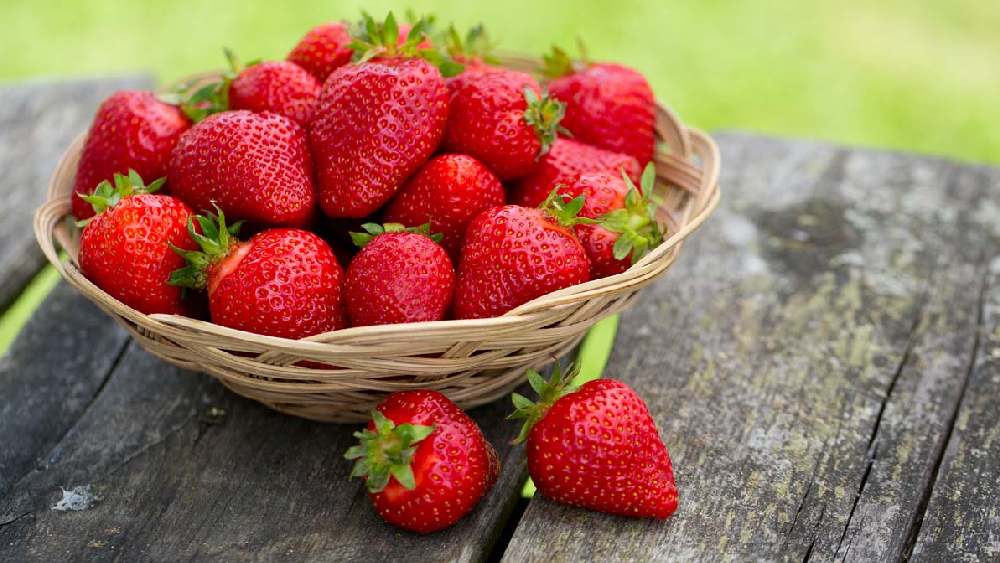 প্রতীকী ছবি।