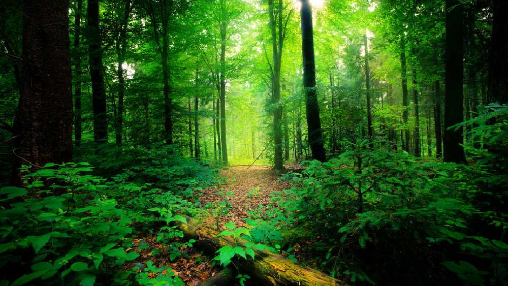 প্রতীকী ছবি