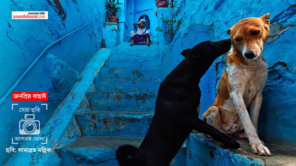 সাম্যব্রত মল্লিক