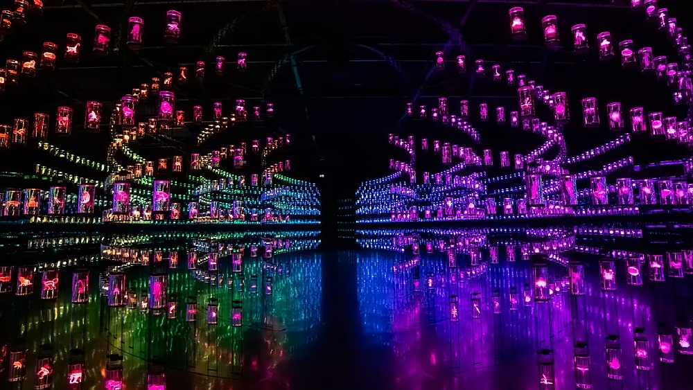 ভবনটির অন্যতম আকর্ষণ ‘ভল্ট অফ লাইফ’। এই অংশে কলম্বিয়ার আমাজন অববাহিকার নিরক্ষীয় বনভূমির প্রতিরূপ তৈরি করা হয়েছে।