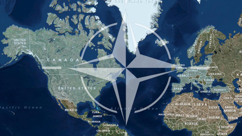 ১৯৯১ সালে সোভিয়েত ইউনিয়ন ভেঙে যাওয়ার পরে ২০০৪ সালে আমেরিকা এই দেশগুলিকে নেটো-র অন্তর্ভুক্ত করে। রাশিয়ার একদম কাছে থাকা এই দেশগুলি নেটো-র অর্ন্তগত হলেও তাদের পক্ষে রাশিয়ার বিপক্ষে যাওয়া বেশ কঠিন বলেই মনে করা হচ্ছে। তবে যুদ্ধ পরিস্থিতি সামলাতে নেটো সেনা রাশিয়ার প্রতিবেশী দেশ পোল্যান্ড, রোমানিয়া এবং বুলগেরিয়াতে মোতায়েন করা আছে। উল্লেখ্য যে, নেটো-র ৩০টি দেশের মধ্যে ১০টি দেশের অবস্থানই রাশিয়ার কাছাকাছি।