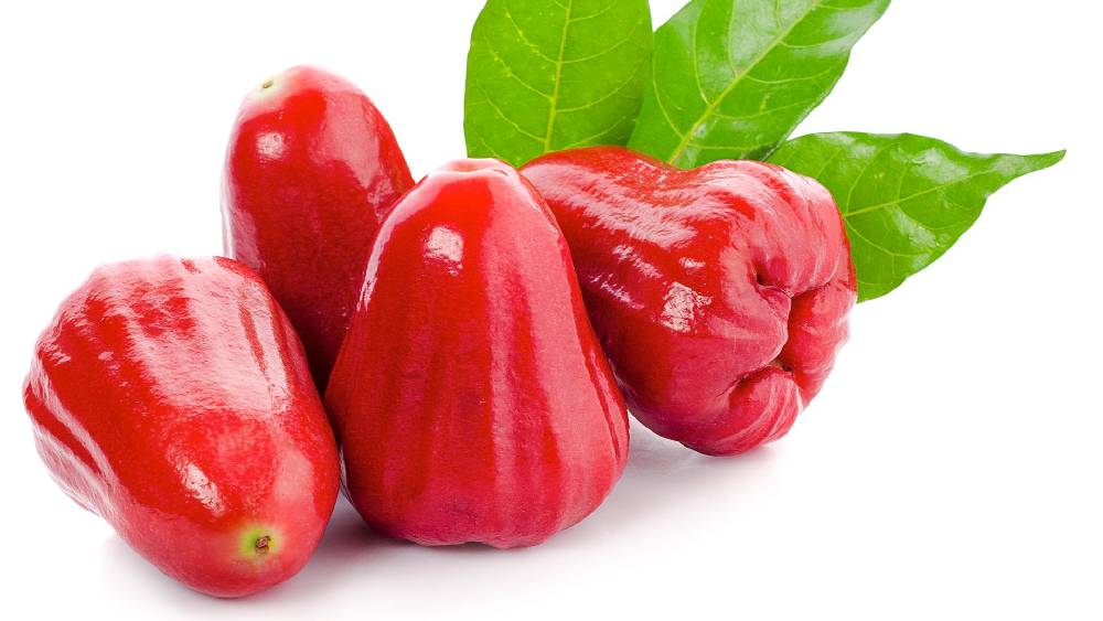 জামরুলে ফাইবারের পরিমাণ বেশি থাকায় খাবার হজম করতে সুবিধা হয়। 