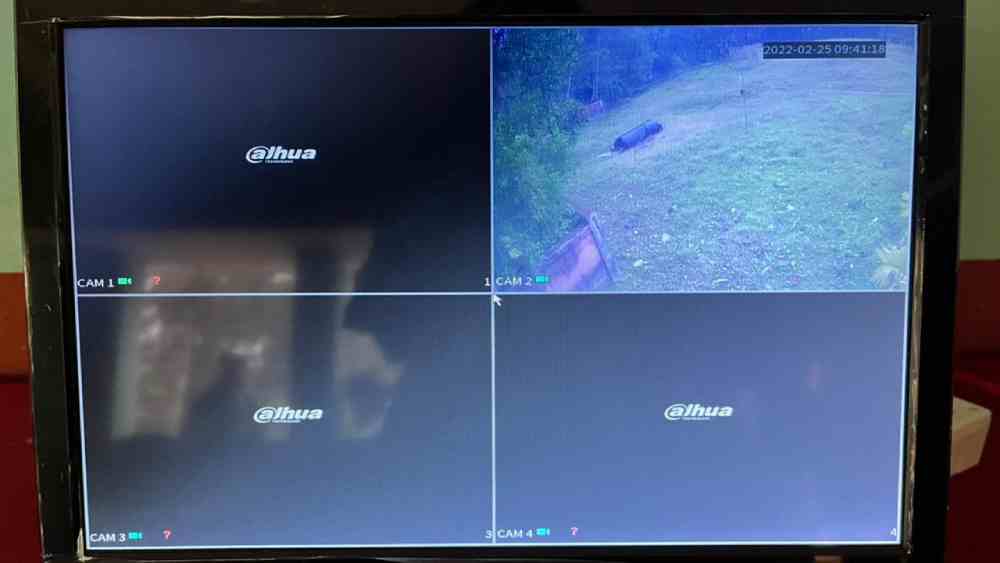 দু’টির মধ্যে একটি সিসিটিভি ক্যামেরায় দেখা যাচ্ছে আনিসের সমাধি ক্ষেত্র। 