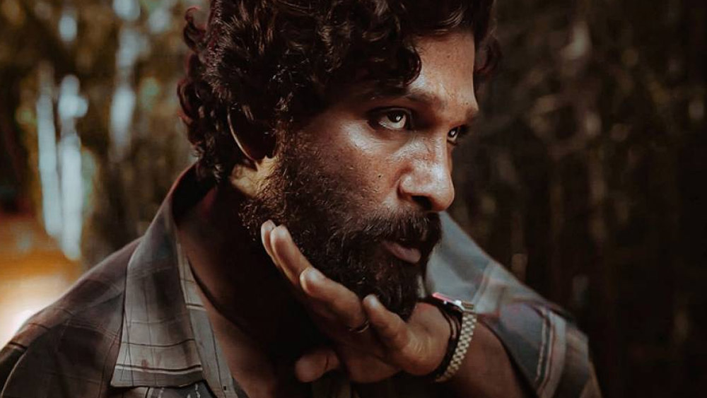 ‘সিনিয়র’ অল্লুর কীর্তি শোনানোর আগে অল্লু ‘জুনিয়র’-এর কাহিনি জেনে নেওয়া যাক। অল্লু ‘জুনিয়র’-এর ফিল্মের কথাই ধরুন না। ঘরের মাঠে তো বটেই, বিদেশের কঠিন পিচেও লম্বা ইনিংস খেলছে অল্লু অর্জুনের ‘পুষ্পা: দ্য রাইজ’।