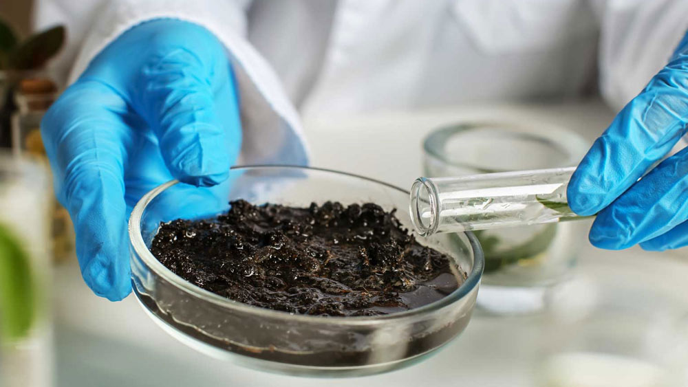 চাষবাস বা তার সঙ্গে যুক্ত দ্রব্যের সরবরাহের মতোই লাভজনক জমির গুণমান পরীক্ষার বন্দোবস্ত। ফলে তা পরীক্ষার জন্য ল্যাবরেটরি গড়ে তুলতে পারেন। জমির মান পরীক্ষা করে তাতে কত পরিমাণ সার প্রয়োজন? কোন জমিতে কী ফলনে বেশি লাভ হতে পারে? এ সব প্রশ্নের উত্তর দিতে ল্যাবরেটরির ব্যবসা বেশ লাভদায়ক হতে পারে।